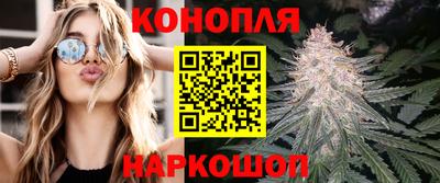 кокс Пугачёв