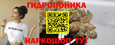 кокс Пугачёв