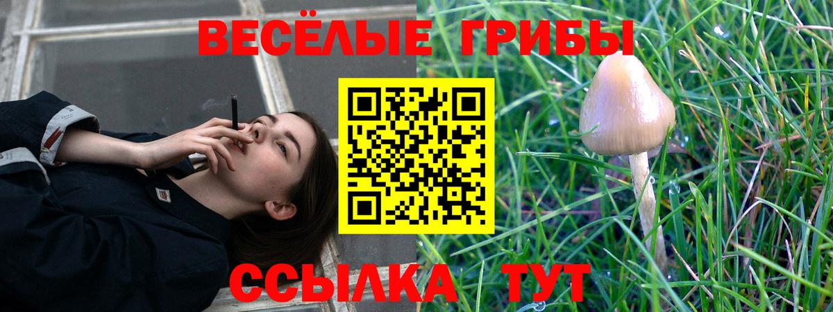 Галлюциногенные грибы Psilocybine cubensis  Галлюциногенные грибы GOLDEN TEACHER  Сафоново  Вход с VPN 
